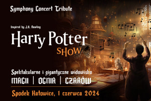 Harry Potter Show _1200x658pxv2.jpg