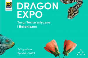 dragonexpo.jpg