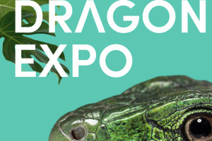 Zrzut ekranu 2026-01-8 o 10.26.16.png