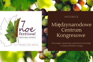 Noe festiwal MCK 2020