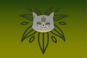 grafika na www_1200x800.jpg